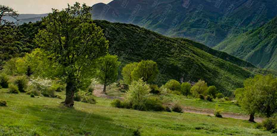 بلیط قطار قم شاهرود - رسپینا 24